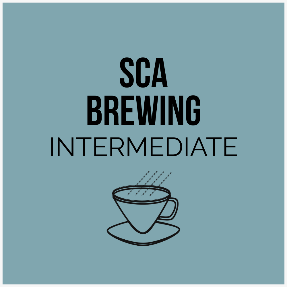 SCA Brewing Intermediate Course