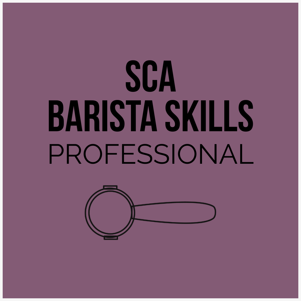 SCA Barista Skills Professional Course
