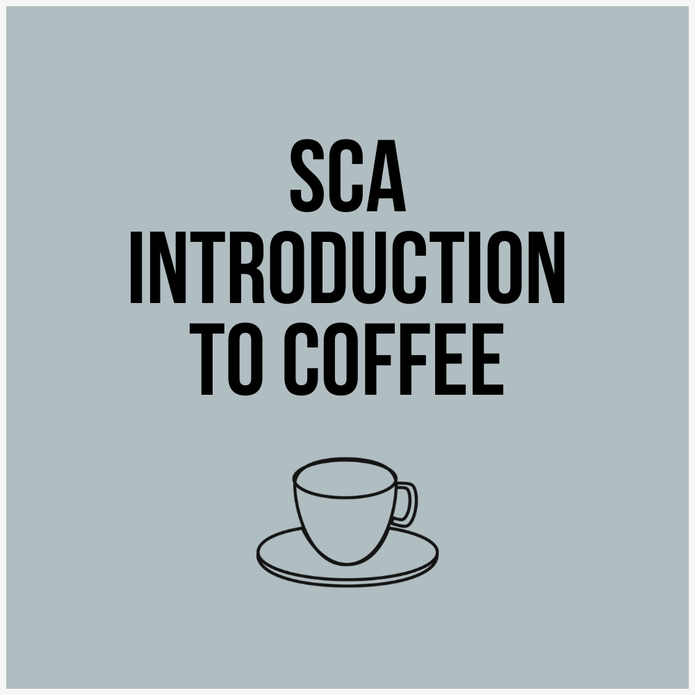 SCA Introduction To Coffee Course