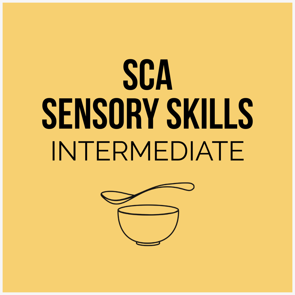SCA Sensory Skills Intermediate Course
