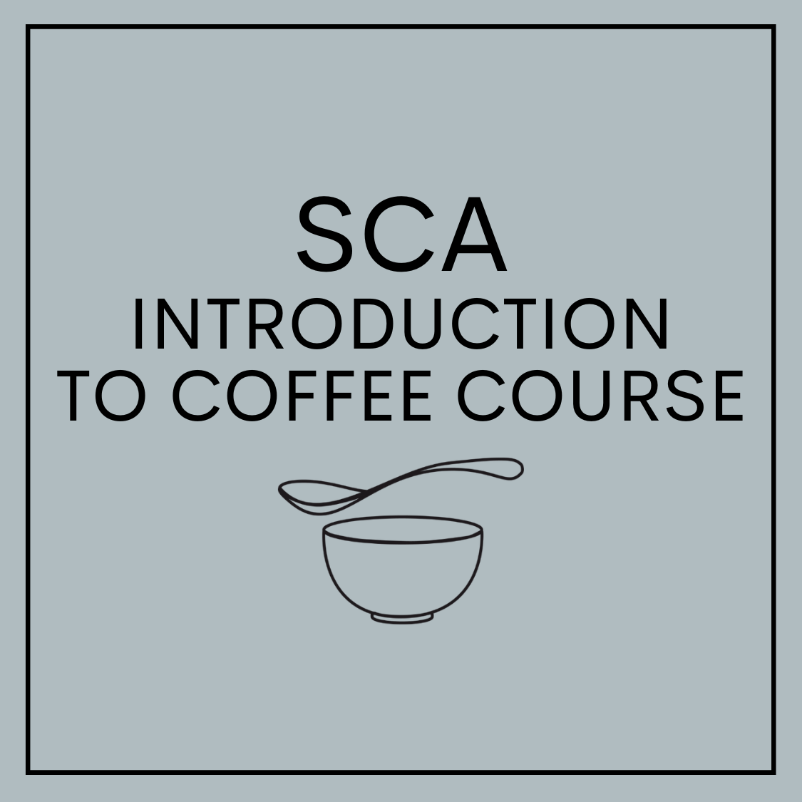SCA Introduction To Coffee Course