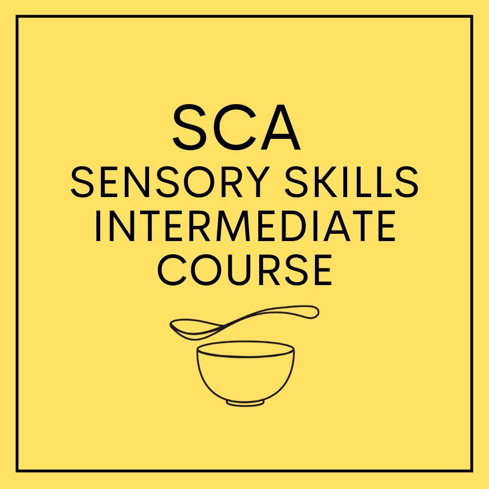 SCA Sensory Skills Intermediate Course