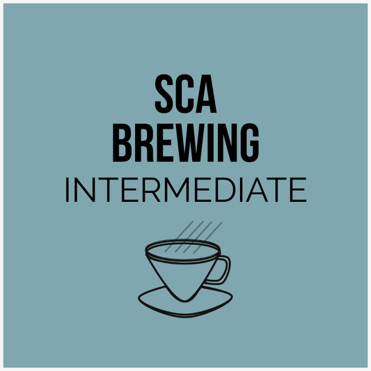 SCA Brewing Intermediate Course