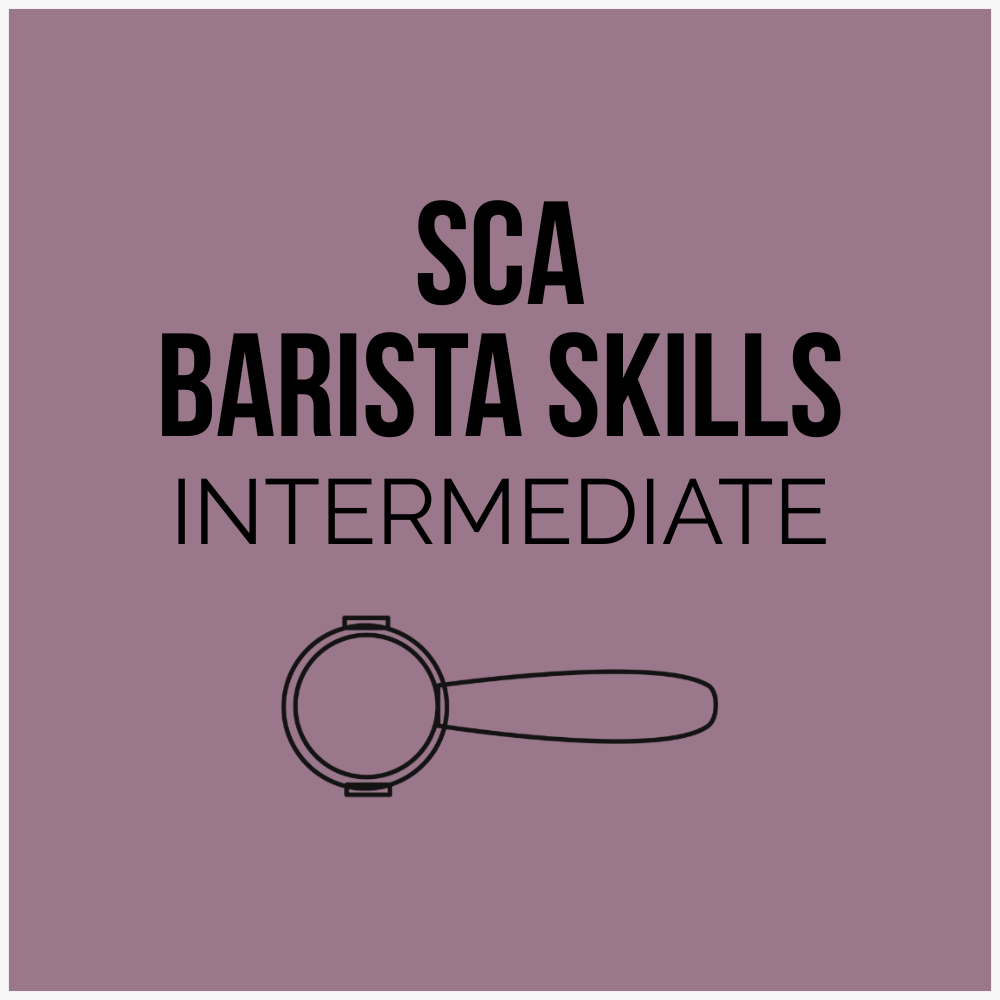 SCA Barista Skills Intermediate Course