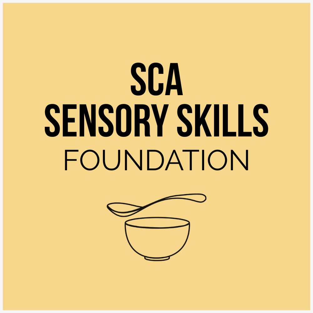 SCA Sensory Skills Foundation Course