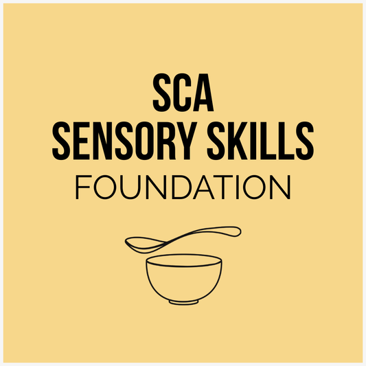 SCA Sensory Skills Foundation Course