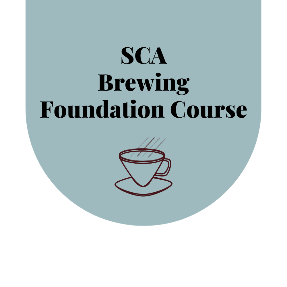 SCA Brewing Foundation Course