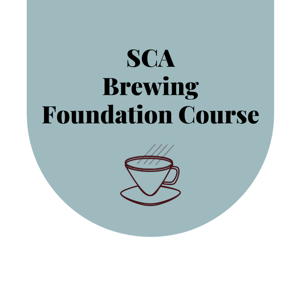 SCA Brewing Foundation Course Prufrock Barista Training Centre