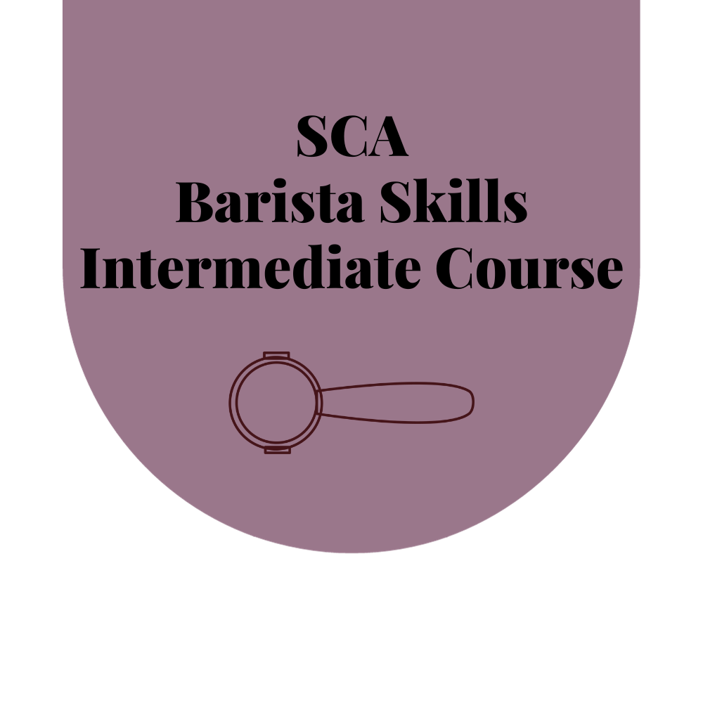 SCA Barista Skills Intermediate Course