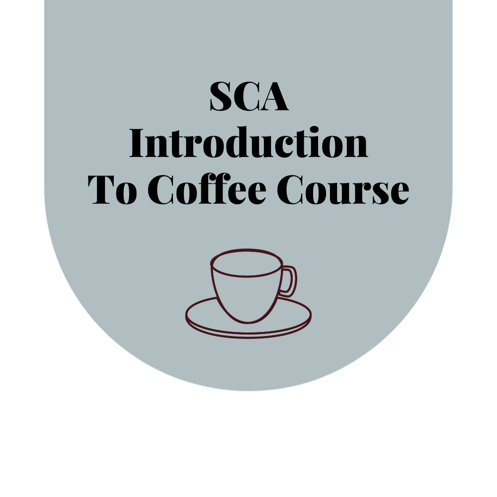 SCA Introduction To Coffee Course