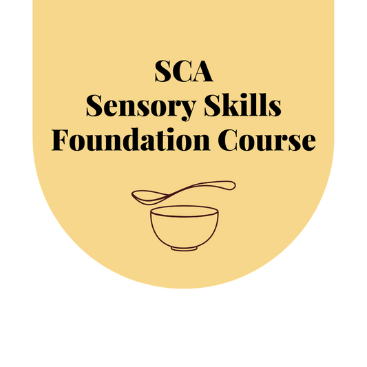 SCA Sensory Skills Foundation Course