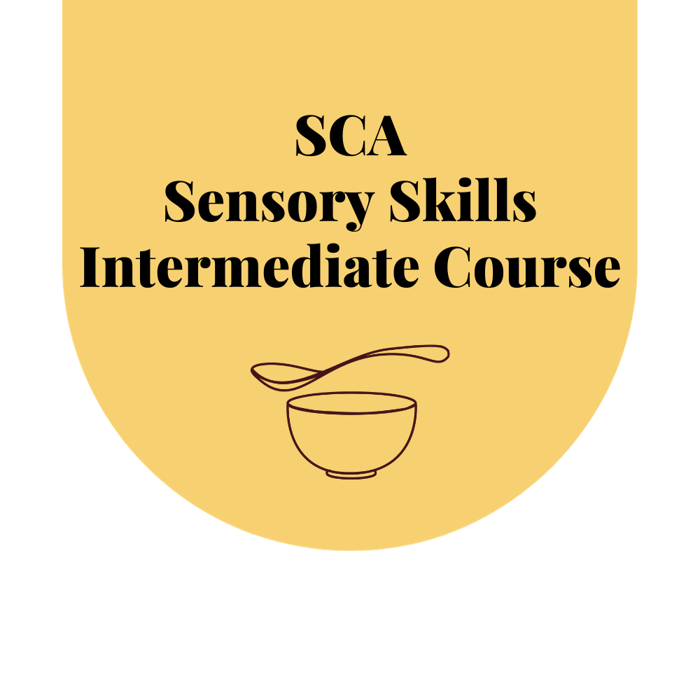 SCA Sensory Skills Intermediate Course