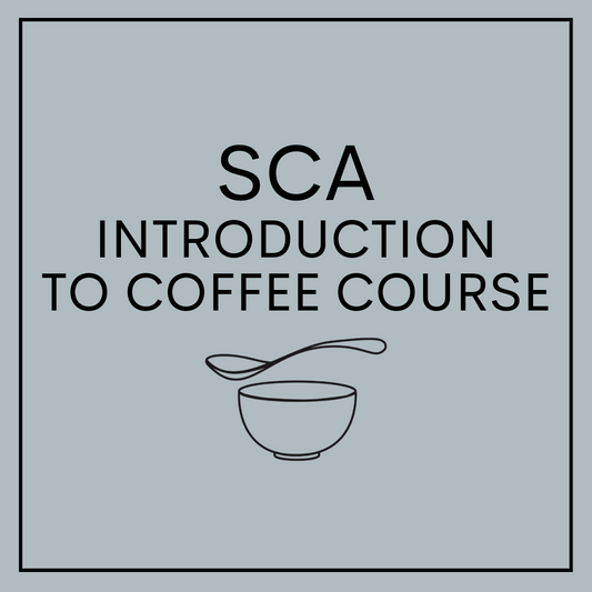 SCA Introduction To Coffee Course