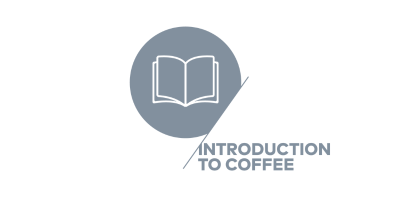SCA Introduction to Coffee logo