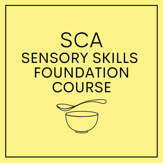 SCA Sensory Skills Foundation Course